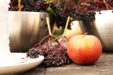Apfel und Holllundertraube nach der Ernte